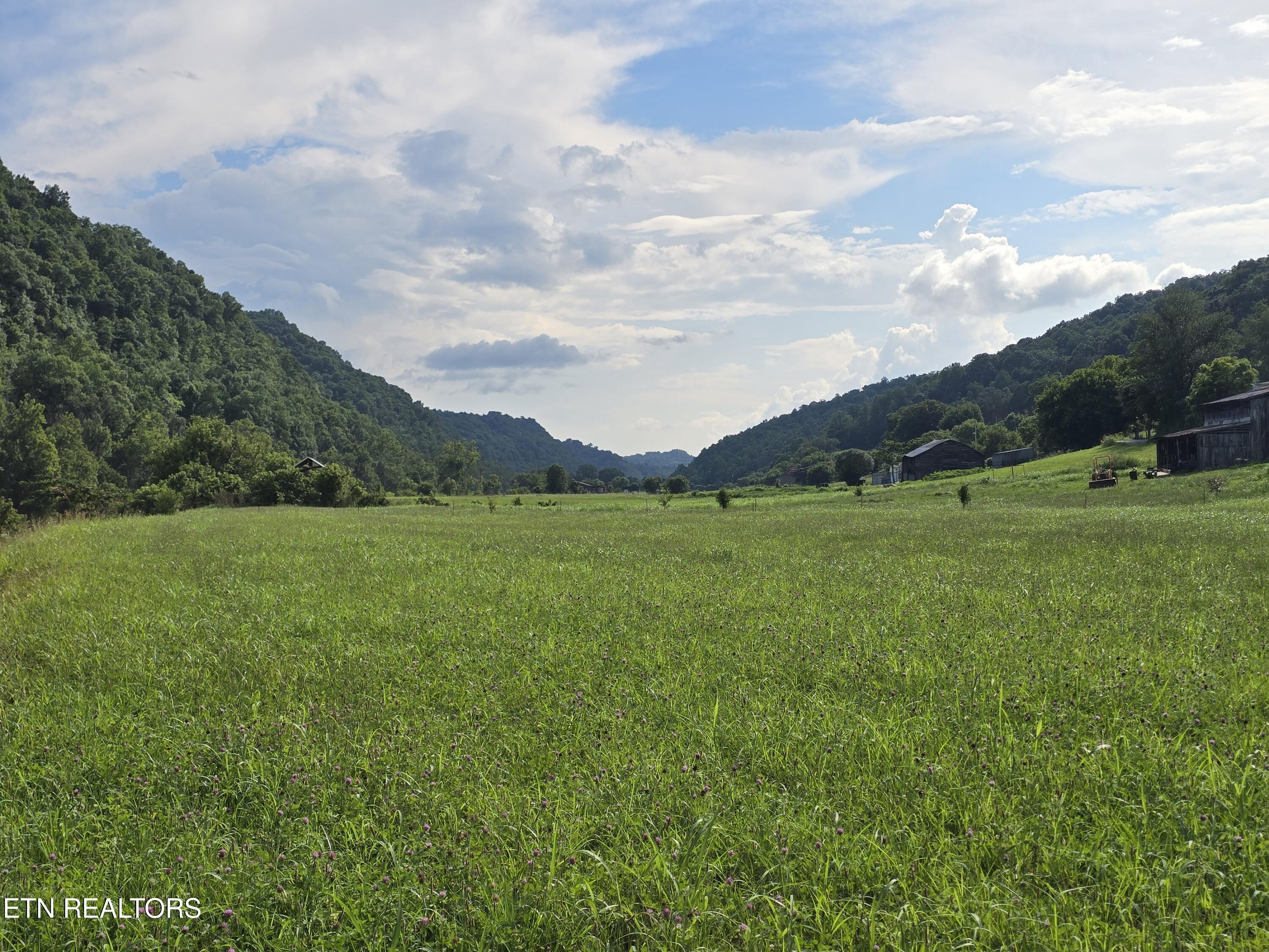 Tbd Caney Valley Road Sneedville, TN 37869 - Photo 8 of 20 20260707_170831