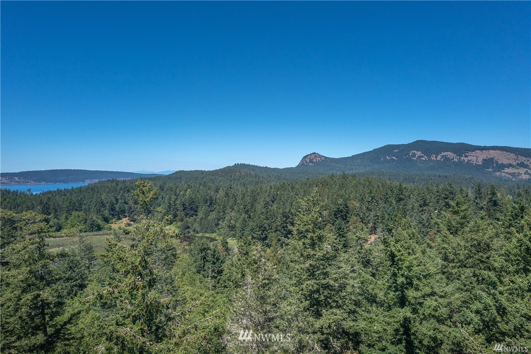 130 Spring Point Road Orcas Island, WA 98243 - Photo 10 of 17 Gallery Image 10