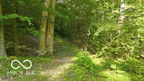 $225,000 | 7746 North Tunnel Road, Unionville, IN 47468