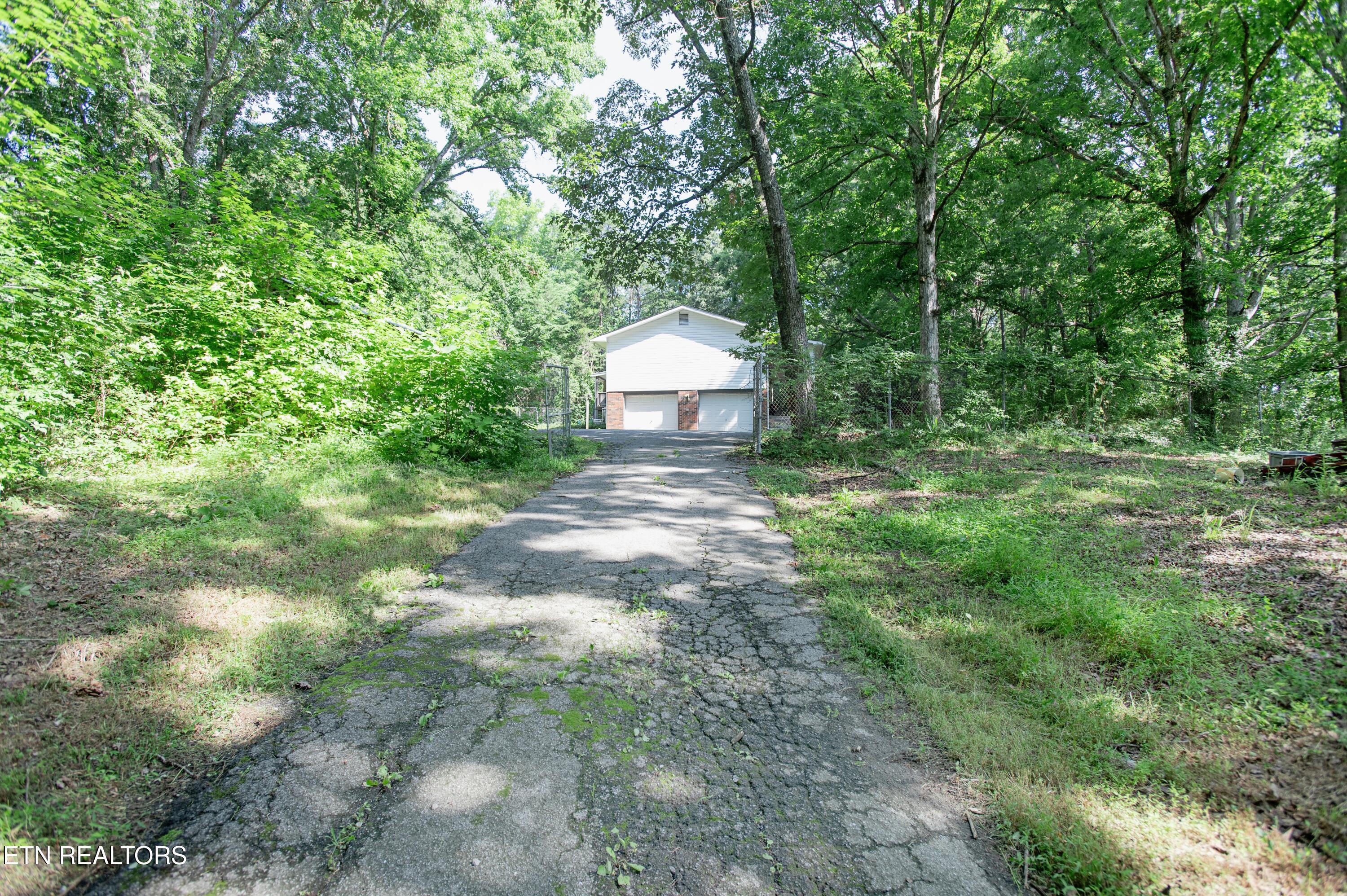 238 Walnut Grove Road Kingston, TN 37763 - Photo 5 of 35 Driveway
