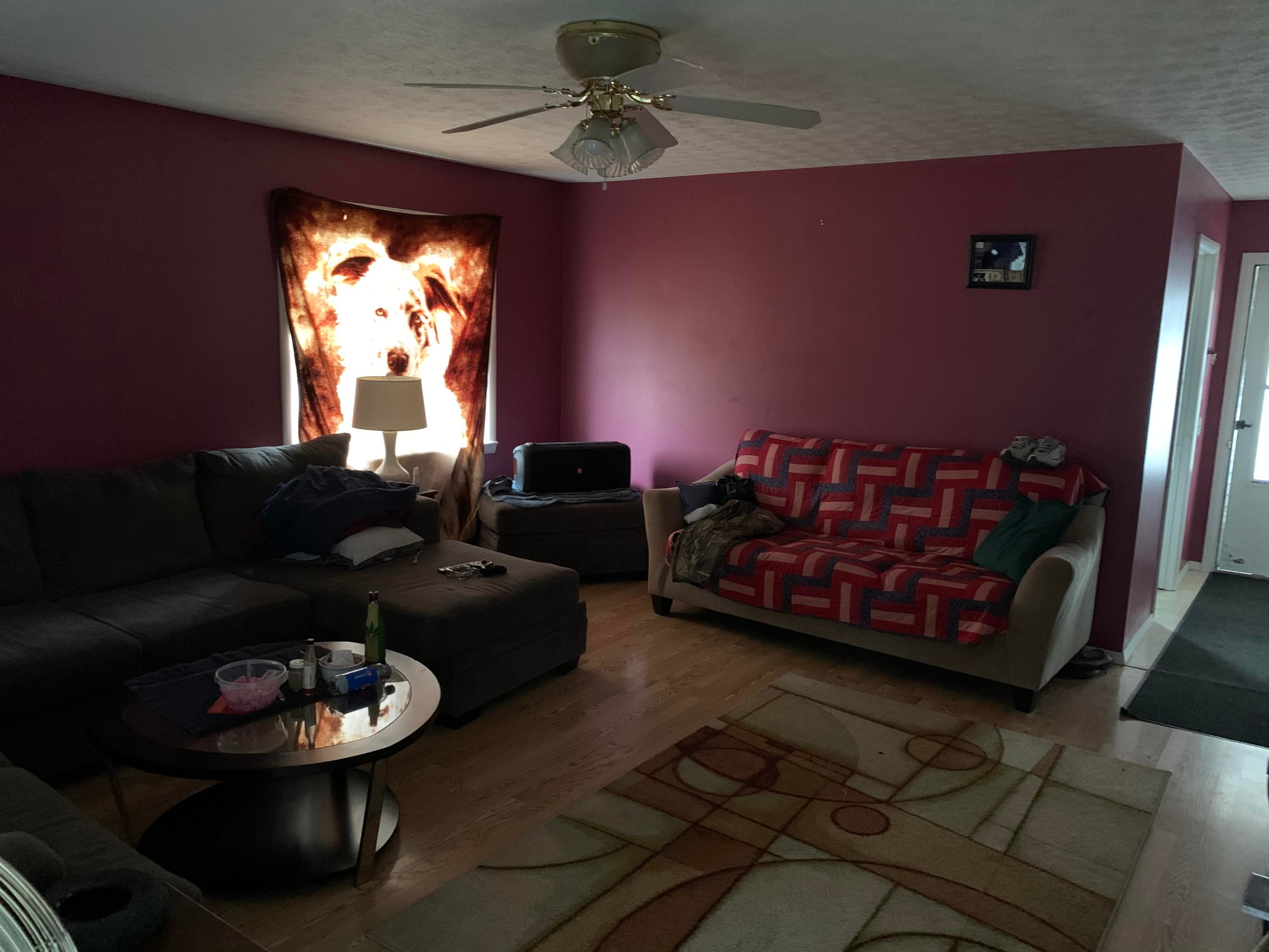 795 Old Nicholas Road Mount Nebo, WV 26679 - Photo 3 of 10 Gallery Image 3