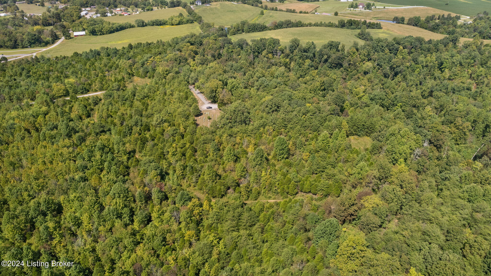 0 Jock Road Bee Spring, KY 42207 - Photo 38 of 42 37-web-or-mls-DJI_0869