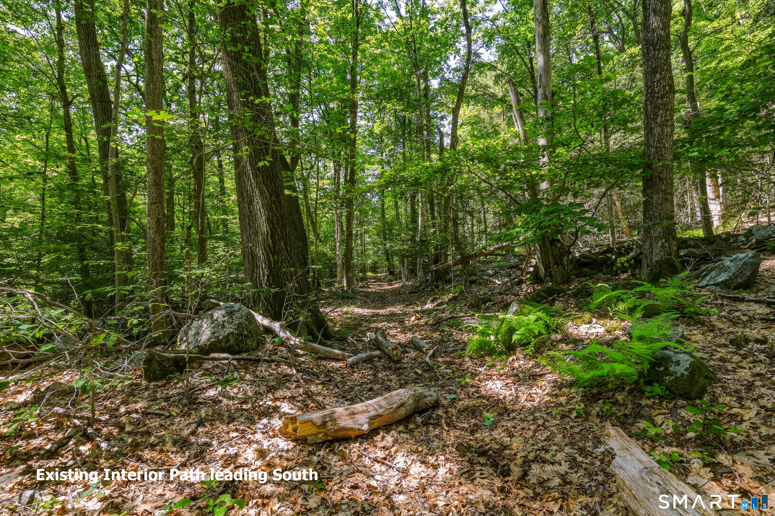 Ashley Road Winsted, CT 06098 - Photo 10 of 19