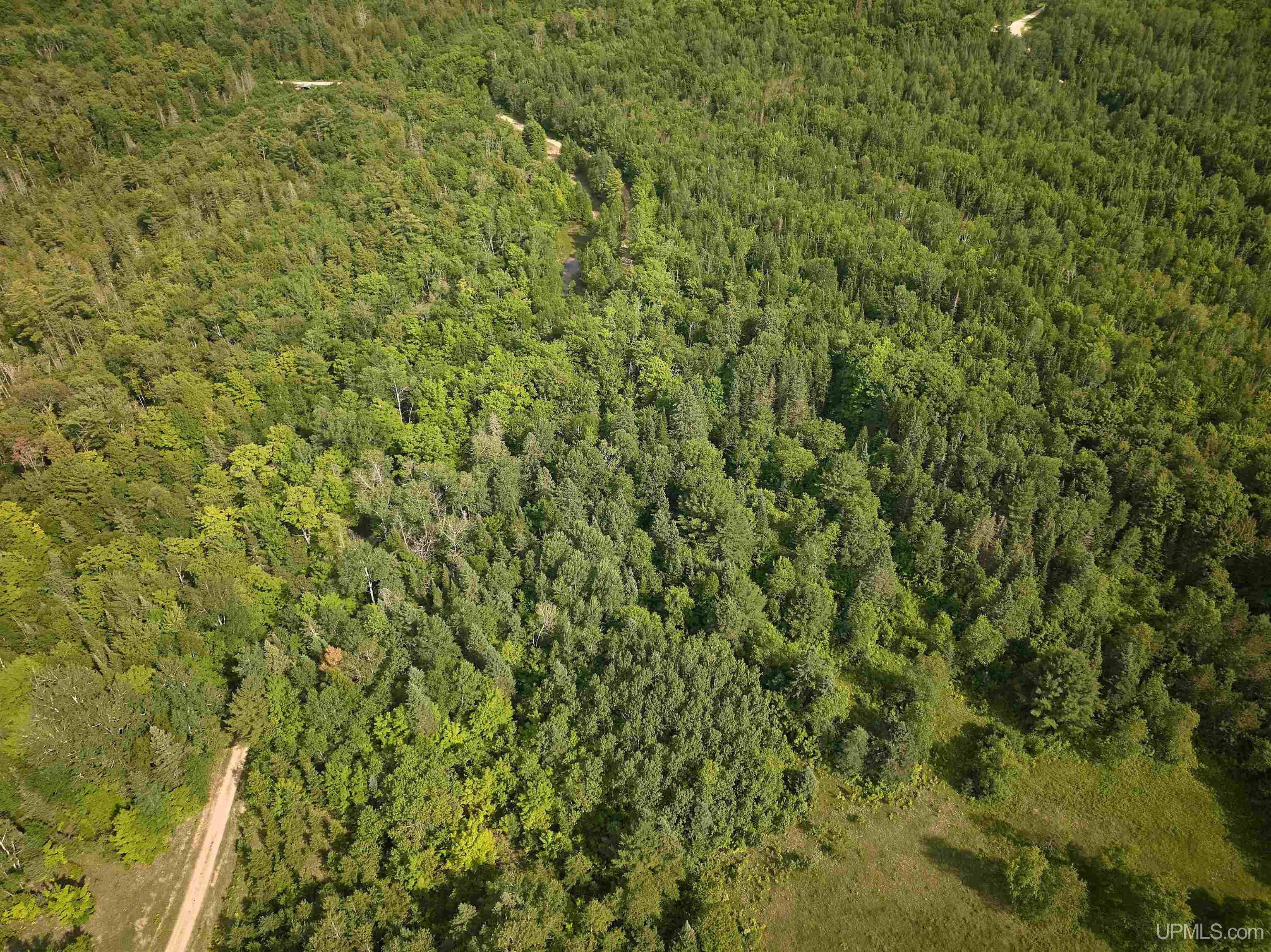 Tbd Star Siding Road Shingleton, MI 49884 - Photo 13 of 26
