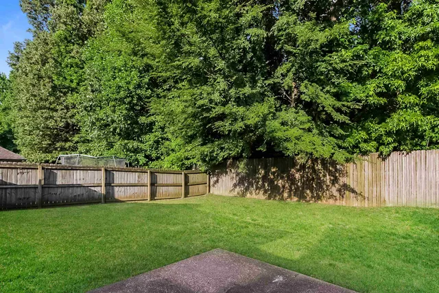 a view of a backyard with a tree