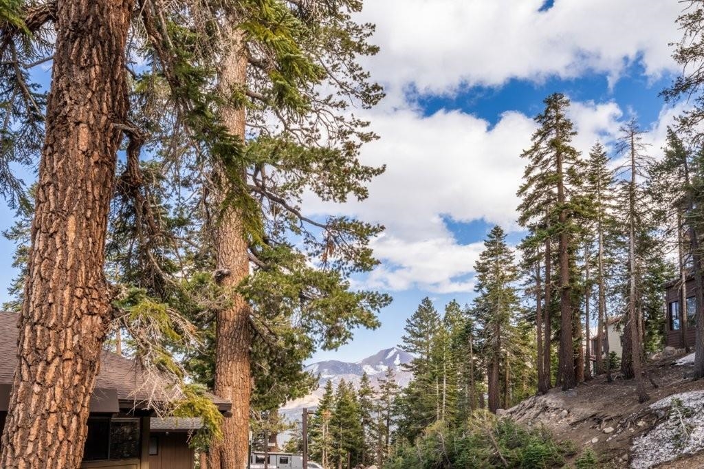 94 John Muir Road, Unit 131 Mammoth Lakes, CA 93546 - Photo 36 of 50 Gallery Image 36