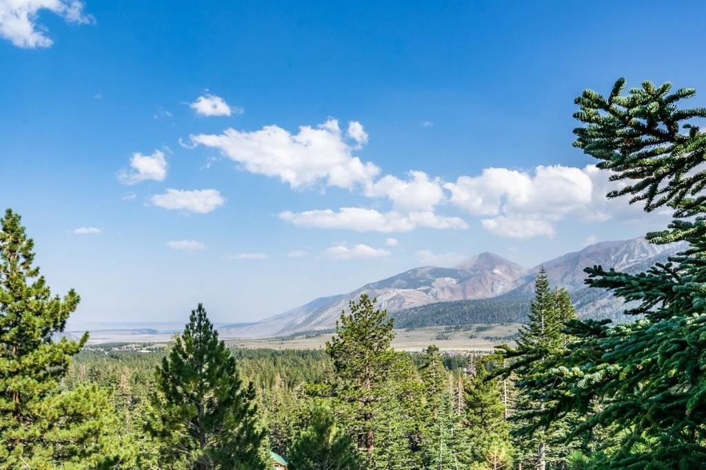 94 John Muir Road, Unit 131 Mammoth Lakes, CA 93546 - Photo 43 of 50 Gallery Image 43