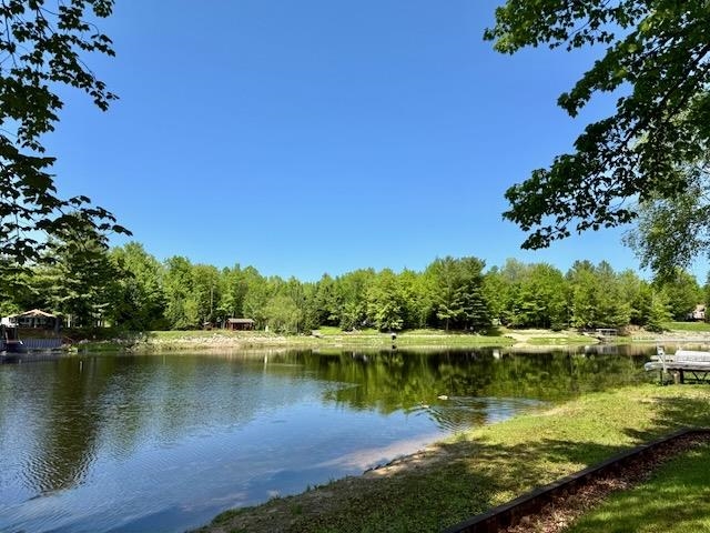 1627 Riverside Drive Gladwin, MI 48624 - Photo 16 of 53