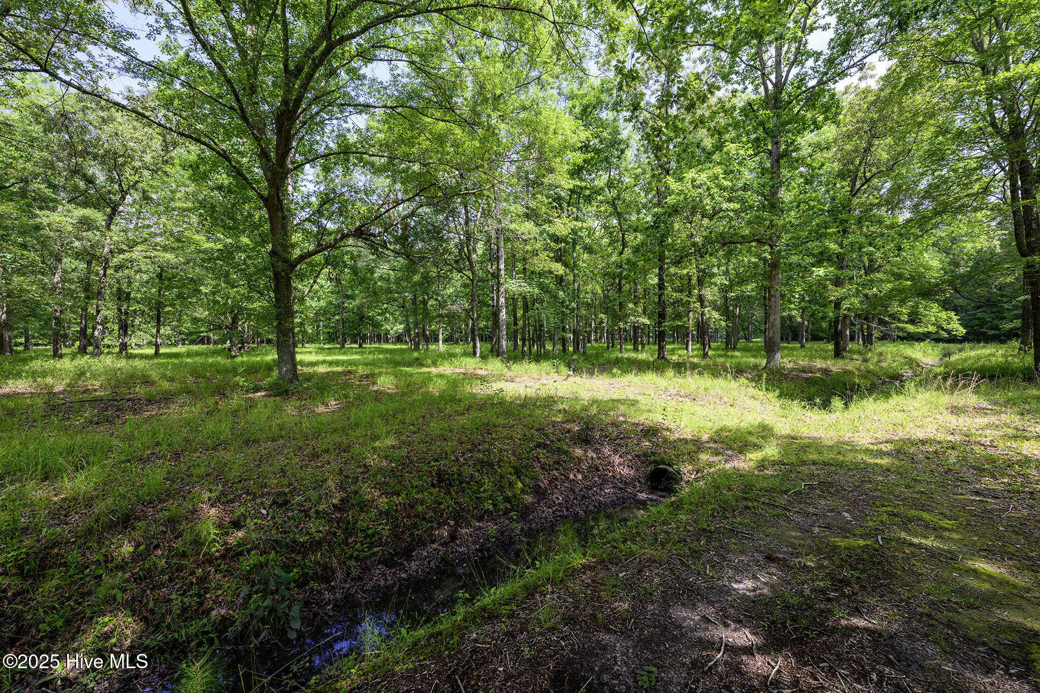 205 Hudnell Road Vanceboro, NC 28586 - Photo 63 of 71 205 Hudnell Road, Ernul, NC 28527