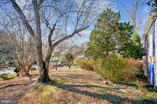 a view of road with trees