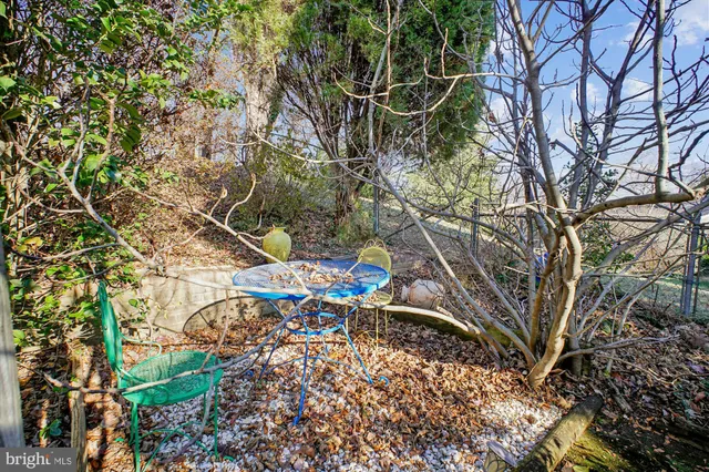 a view of yard with green space