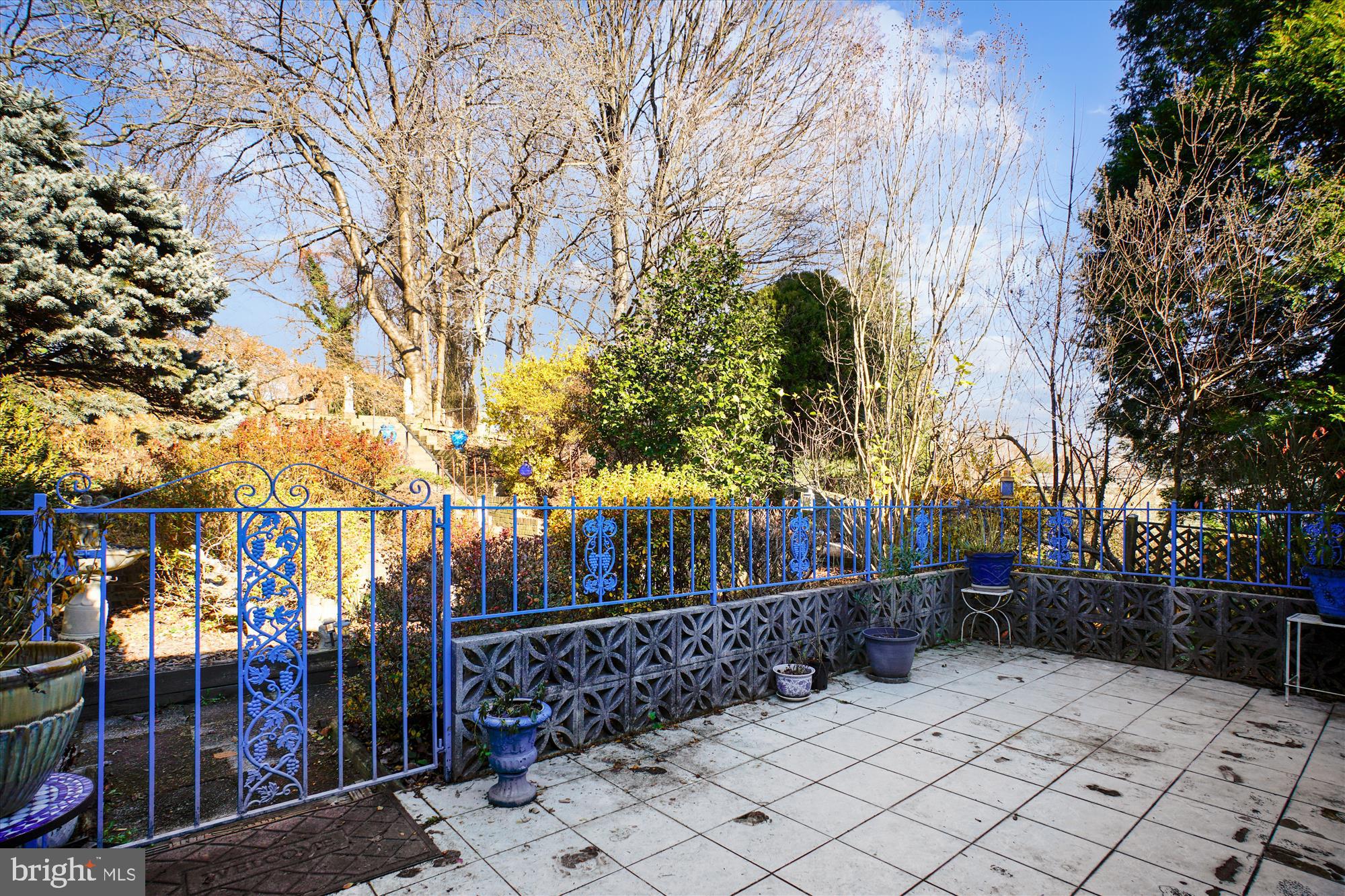 6144 Chesterbrook Road McLean, VA 22101 - Photo 34 of 50 a view of park with trees