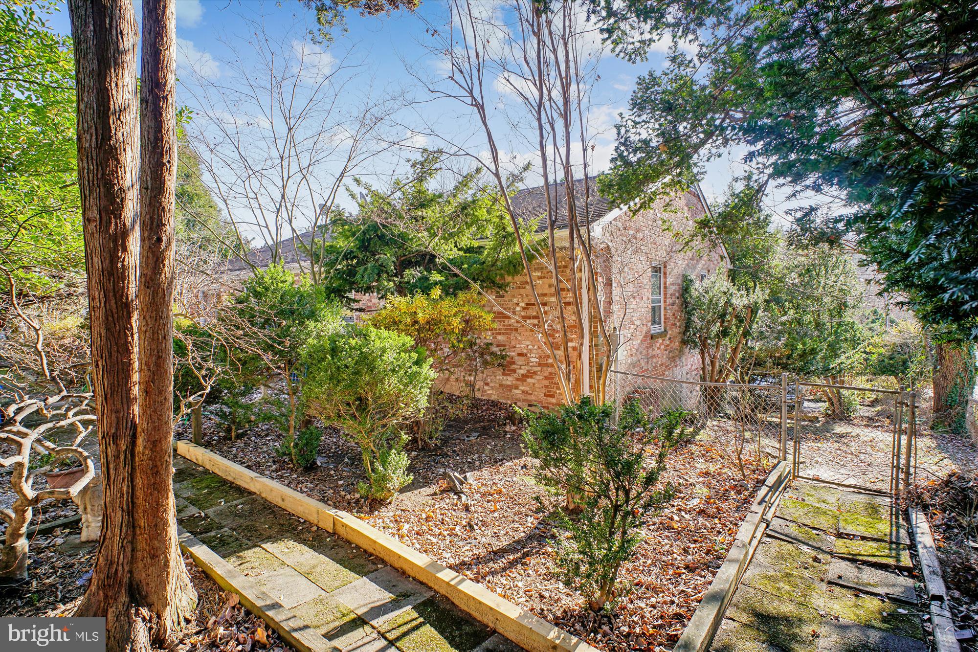 6144 Chesterbrook Road McLean, VA 22101 - Photo 36 of 50 a view of a yard with plants and large trees