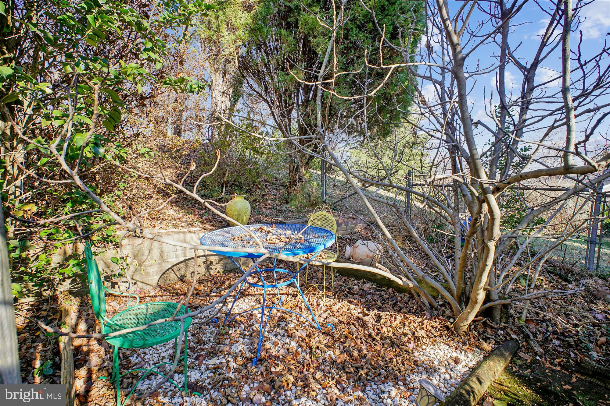 6144 Chesterbrook Road McLean, VA 22101 - Photo 37 of 50 a view of yard with green space