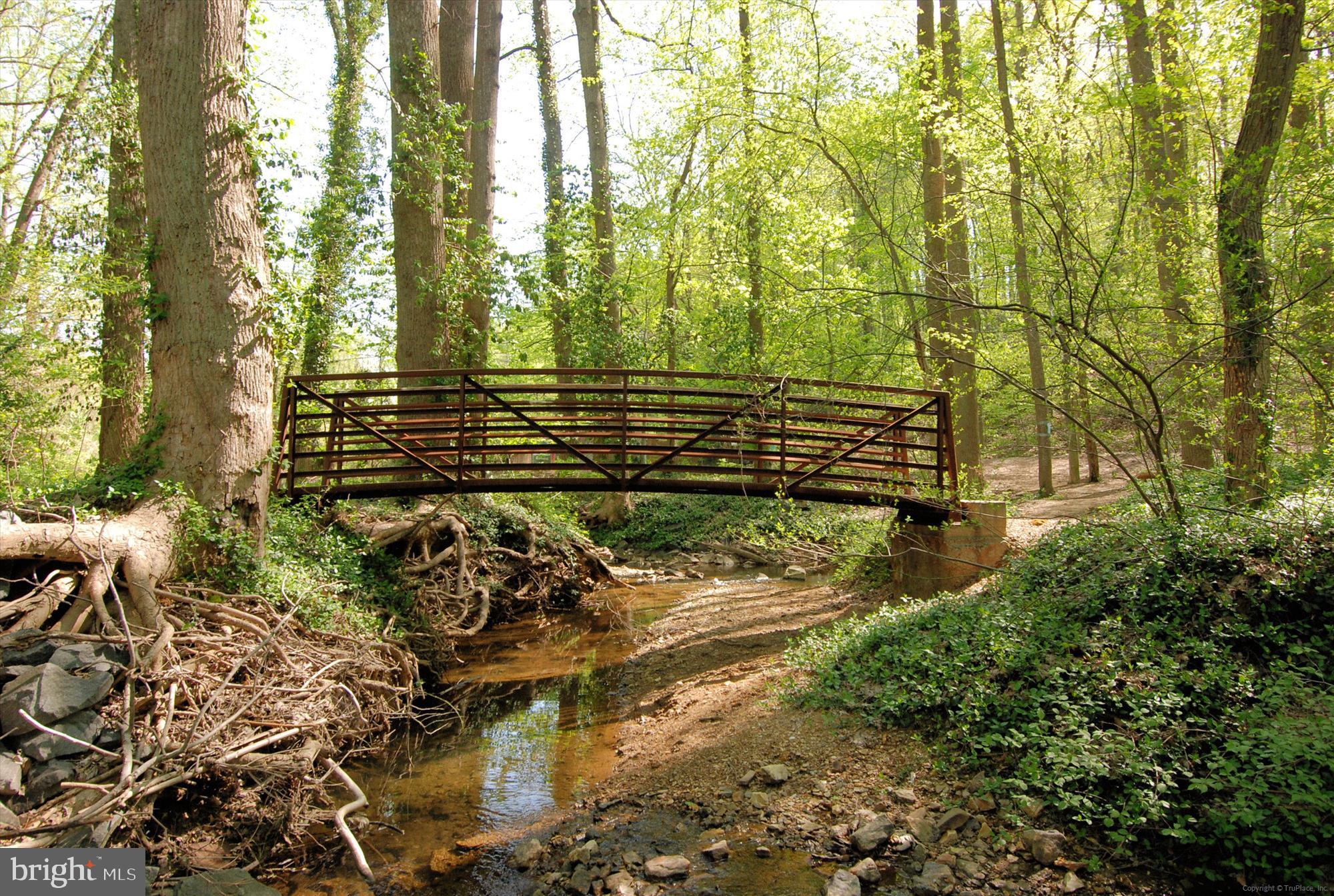 6144 Chesterbrook Road McLean, VA 22101 - Photo 48 of 50 a view of outdoor space and garden