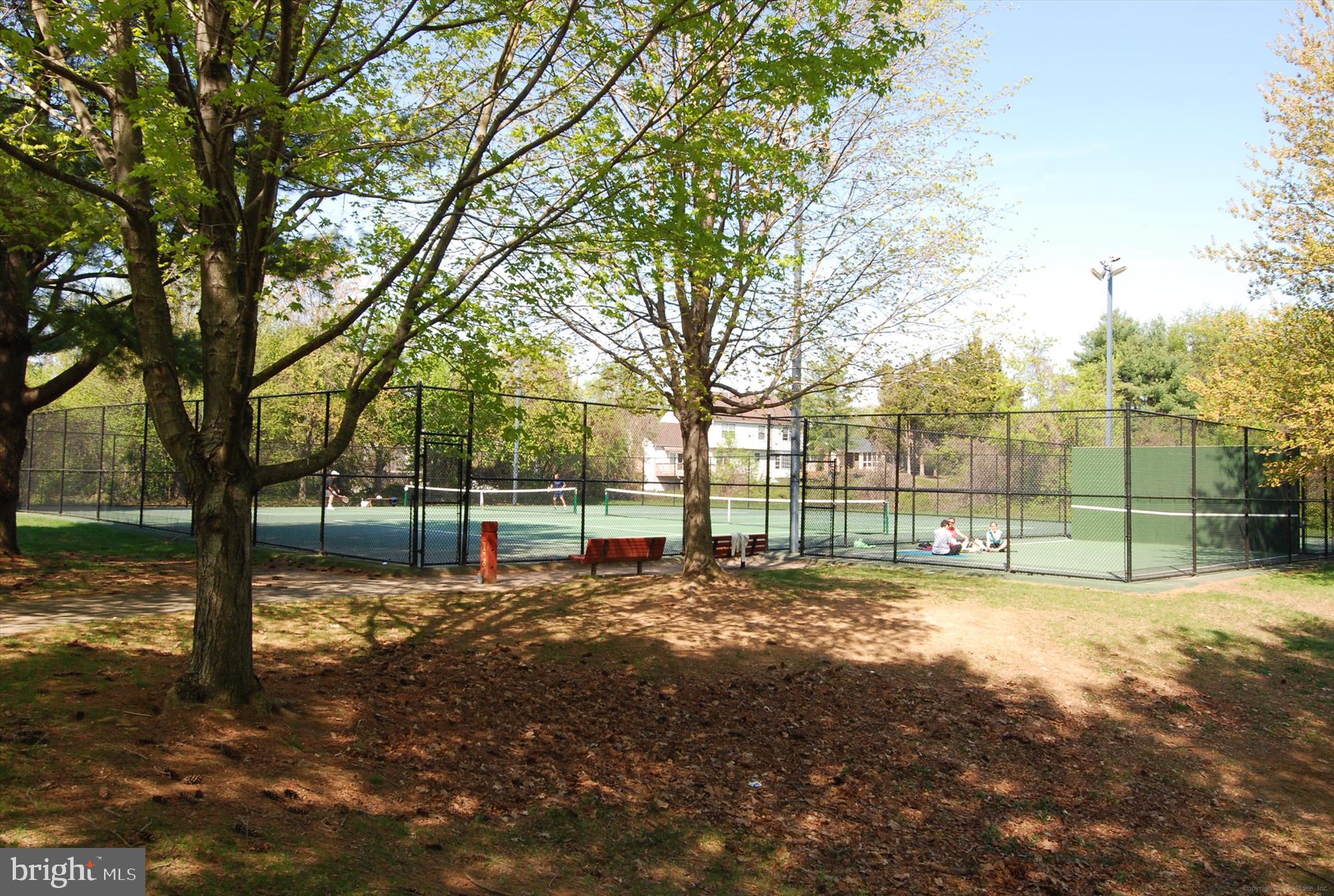 6144 Chesterbrook Road McLean, VA 22101 - Photo 50 of 50 a view of a yard with a tree