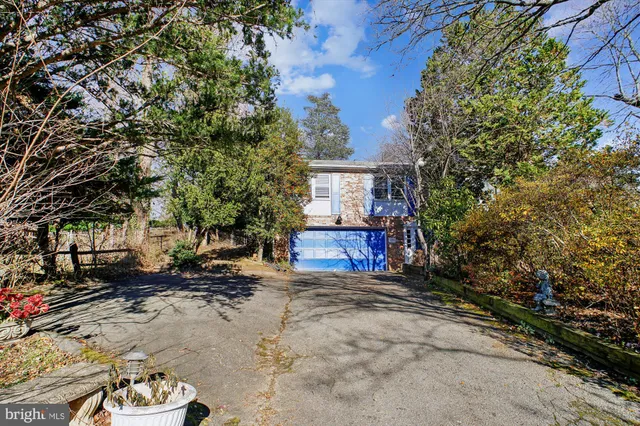 a view of a backyard with large trees