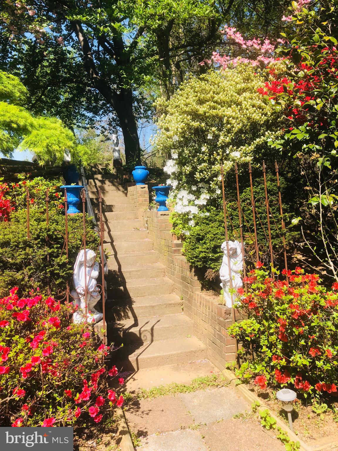 6144 Chesterbrook Road McLean, VA 22101 - Photo 6 of 50