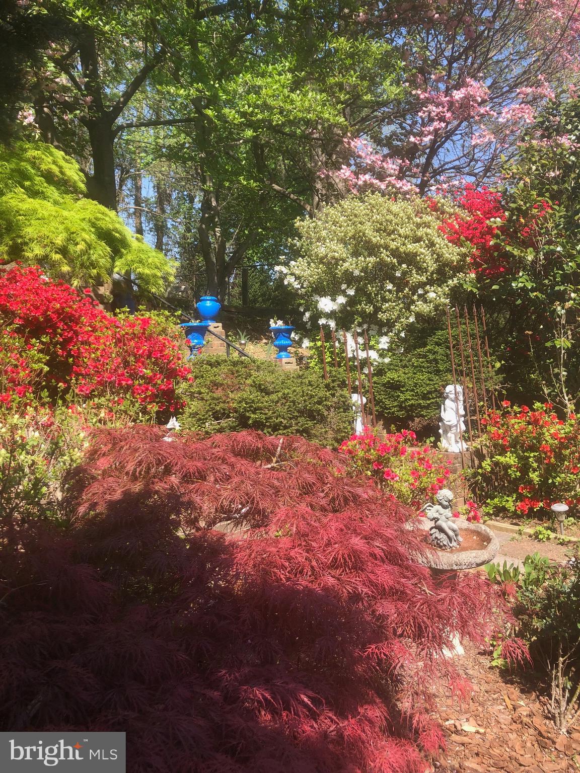 6144 Chesterbrook Road McLean, VA 22101 - Photo 7 of 50