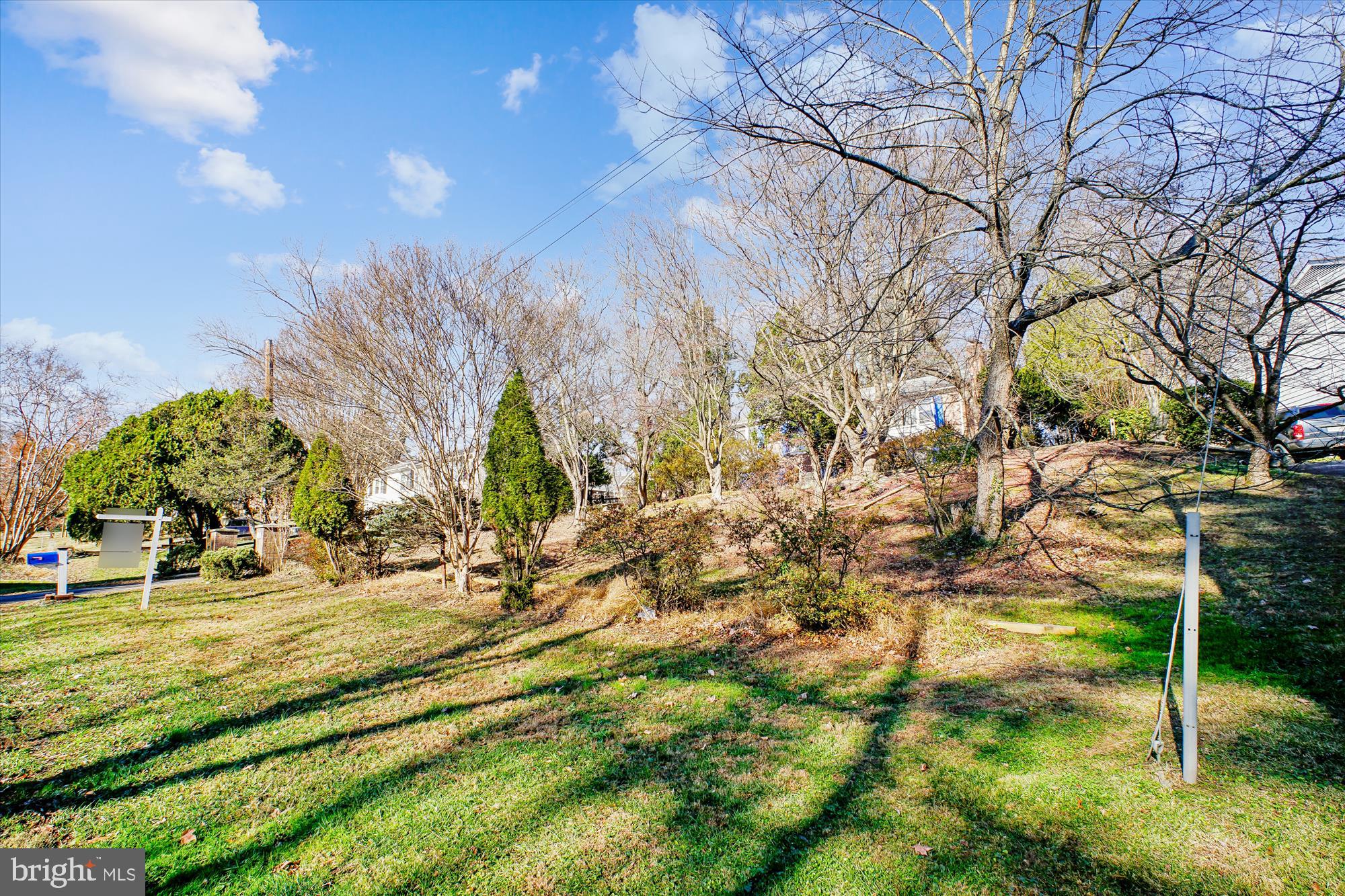 6144 Chesterbrook Road McLean, VA 22101 - Photo 8 of 50 a backyard of a house with lots of green space