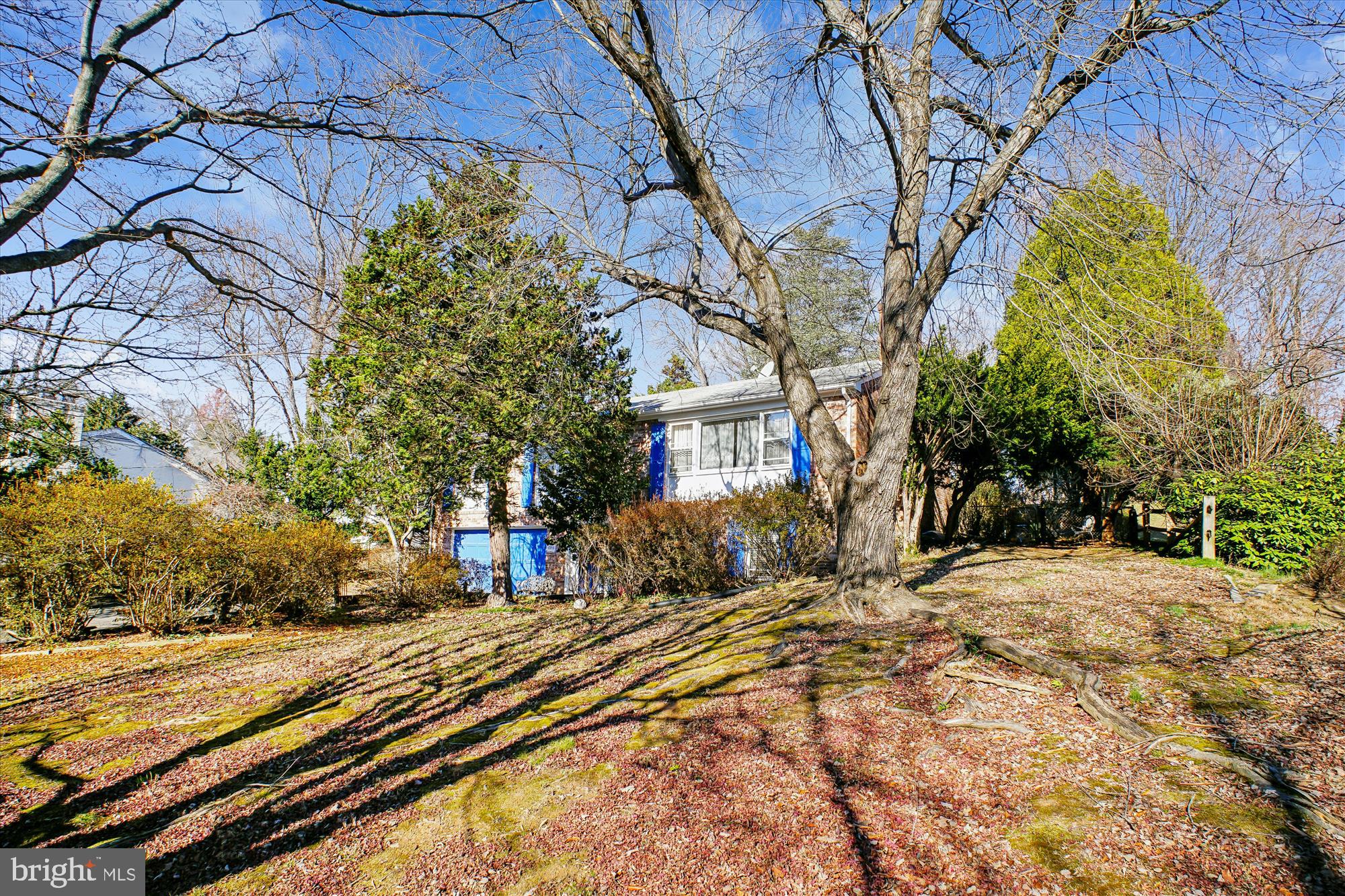 6144 Chesterbrook Road McLean, VA 22101 - Photo 10 of 50 a view of a yard with plants and trees