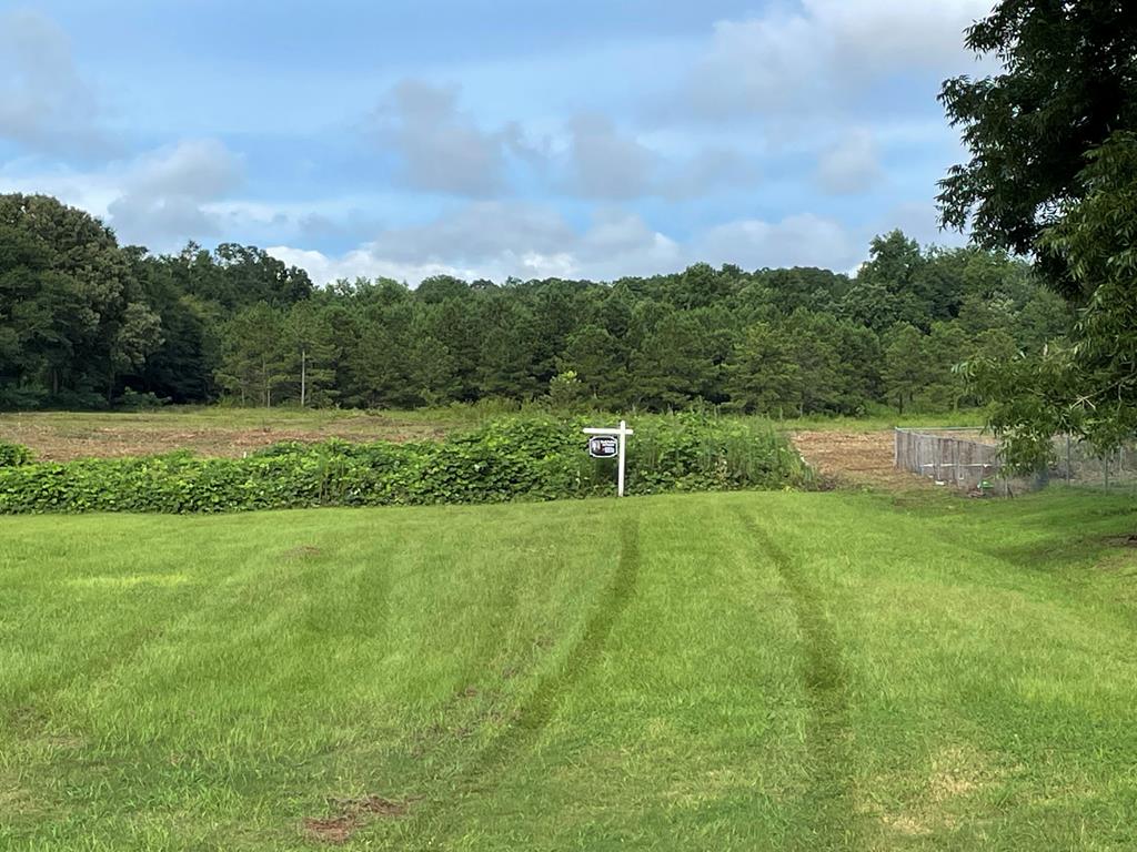 0 Iris Road Dothan, AL 36301 - Photo 12 of 12