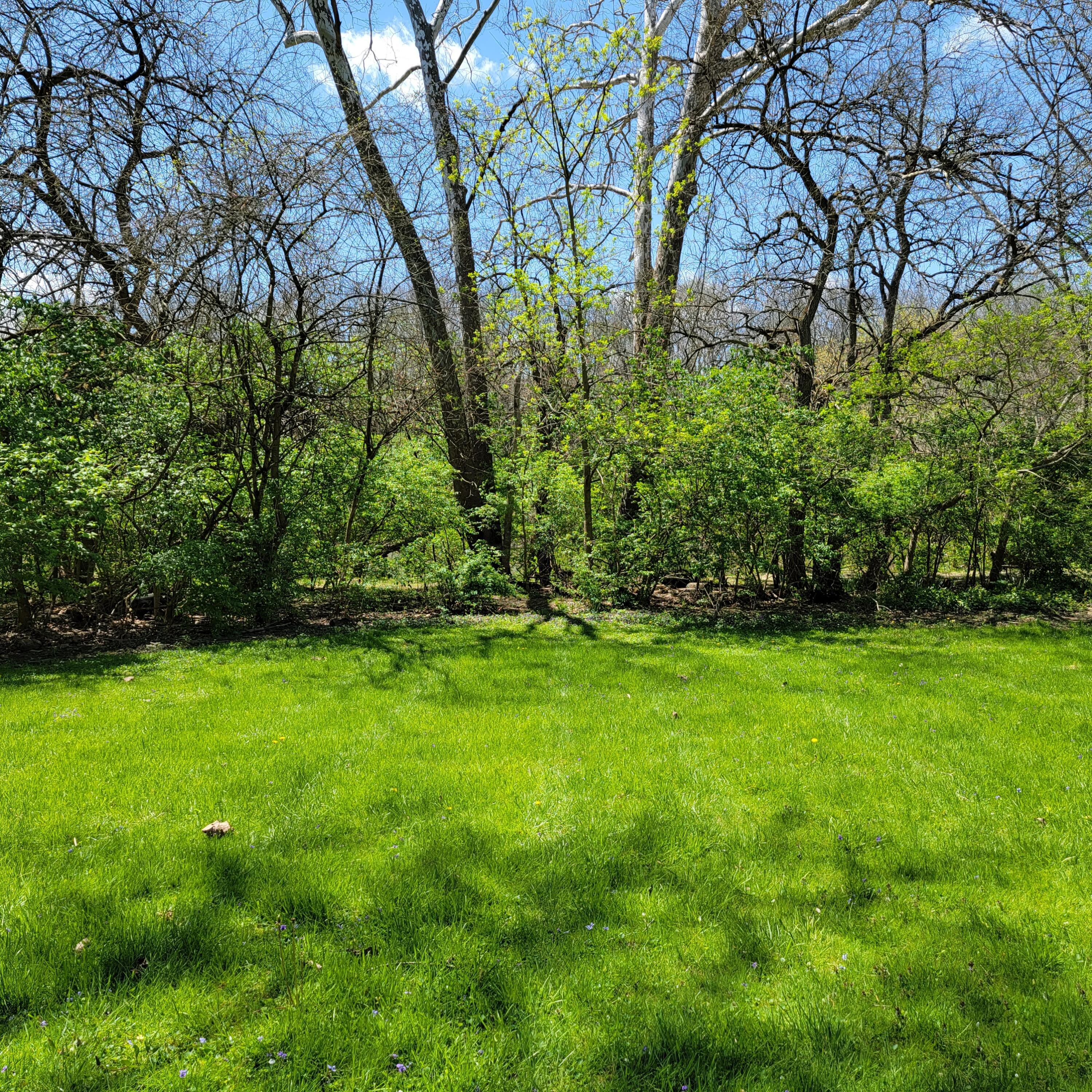10558 Riverside Drive Powell, OH 43065 - Photo 17 of 17 20220502_140550