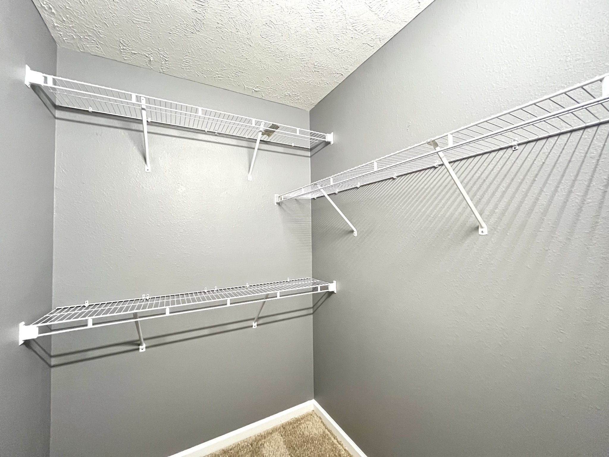 262 Arapaho Drive Murfreesboro, TN 37128 - Photo 21 of 24 a close up view of racks on the wall