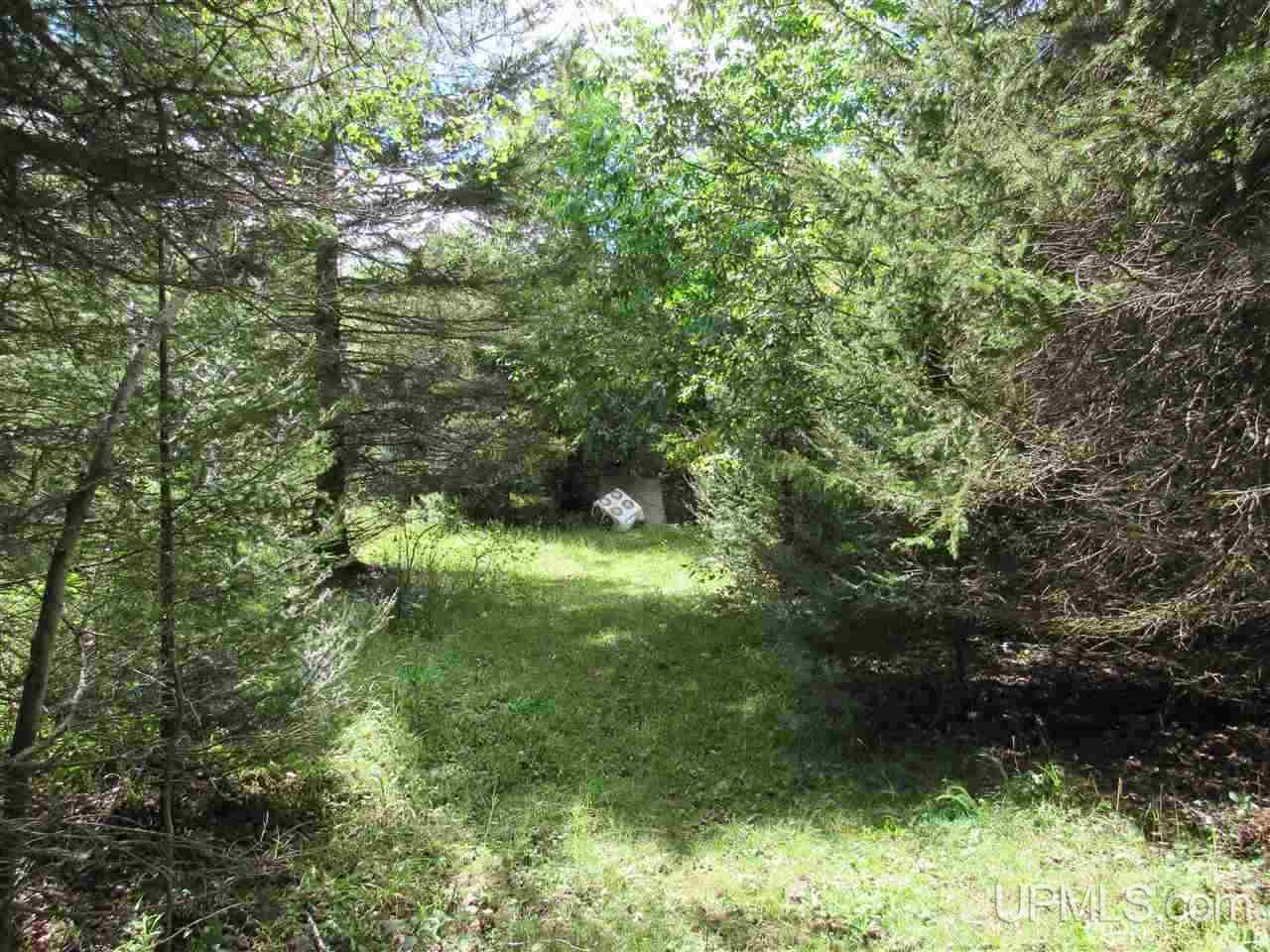 Tbd Tbd Off Stagecoach Road Michigamme, MI 49861 - Photo 16 of 37