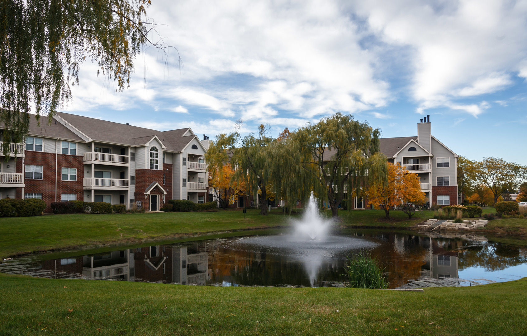 a view of a town with large trees