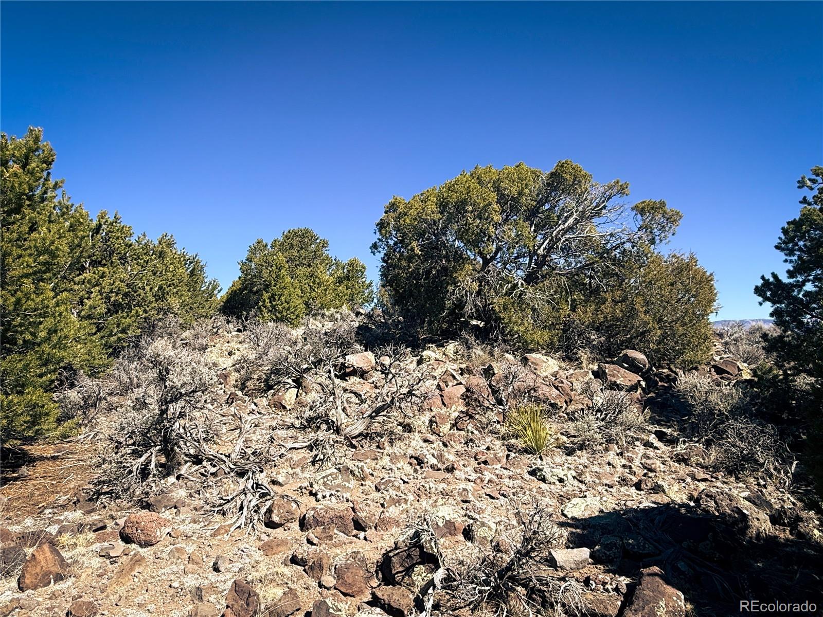 0 Sanchez Reservoir Road San Luis, CO 81152 - Photo 11 of 22