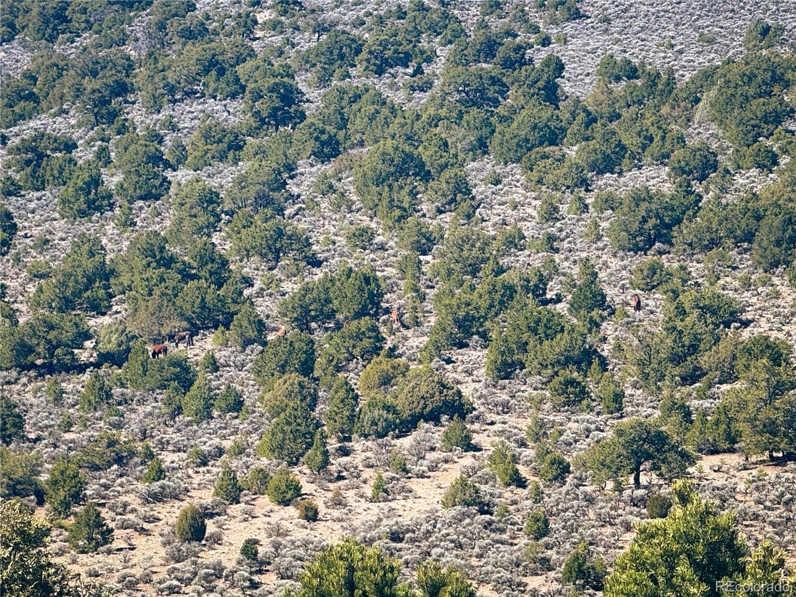0 Sanchez Reservoir Road San Luis, CO 81152 - Photo 12 of 22