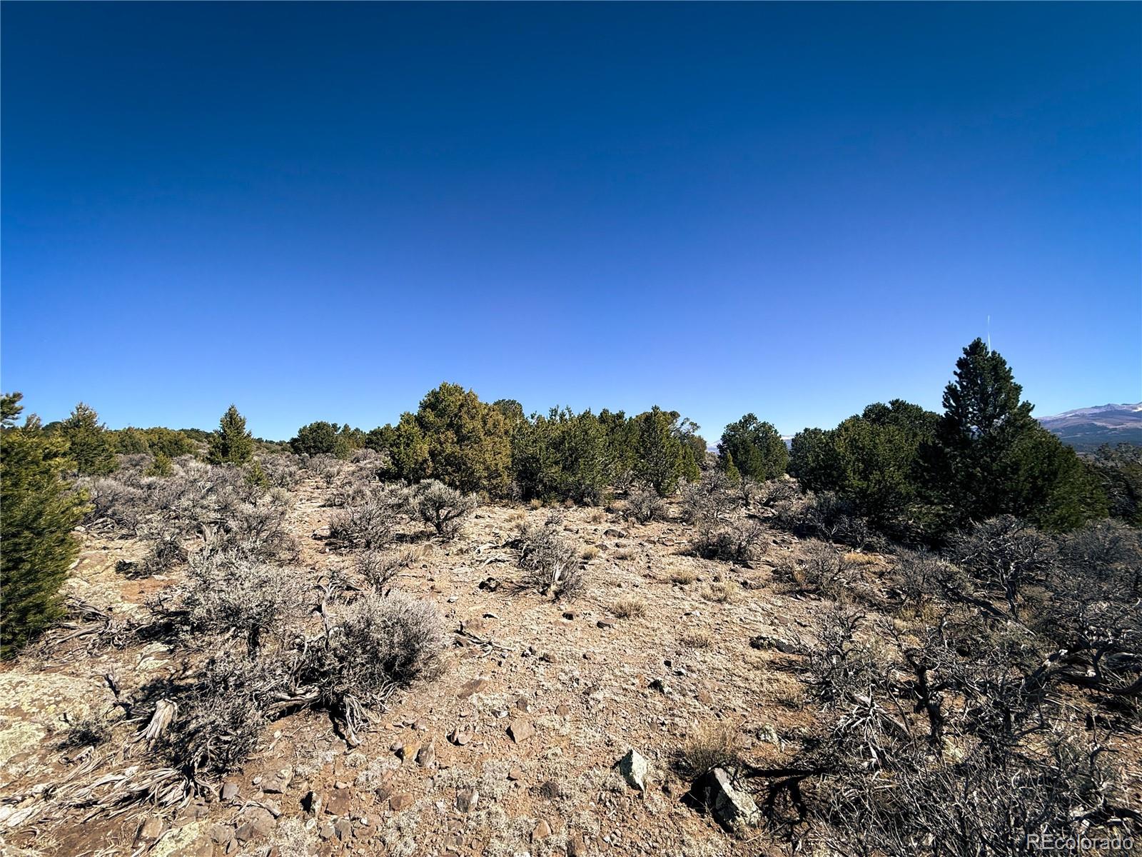 0 Sanchez Reservoir Road San Luis, CO 81152 - Photo 15 of 22 a view of a covered with trees in the background
