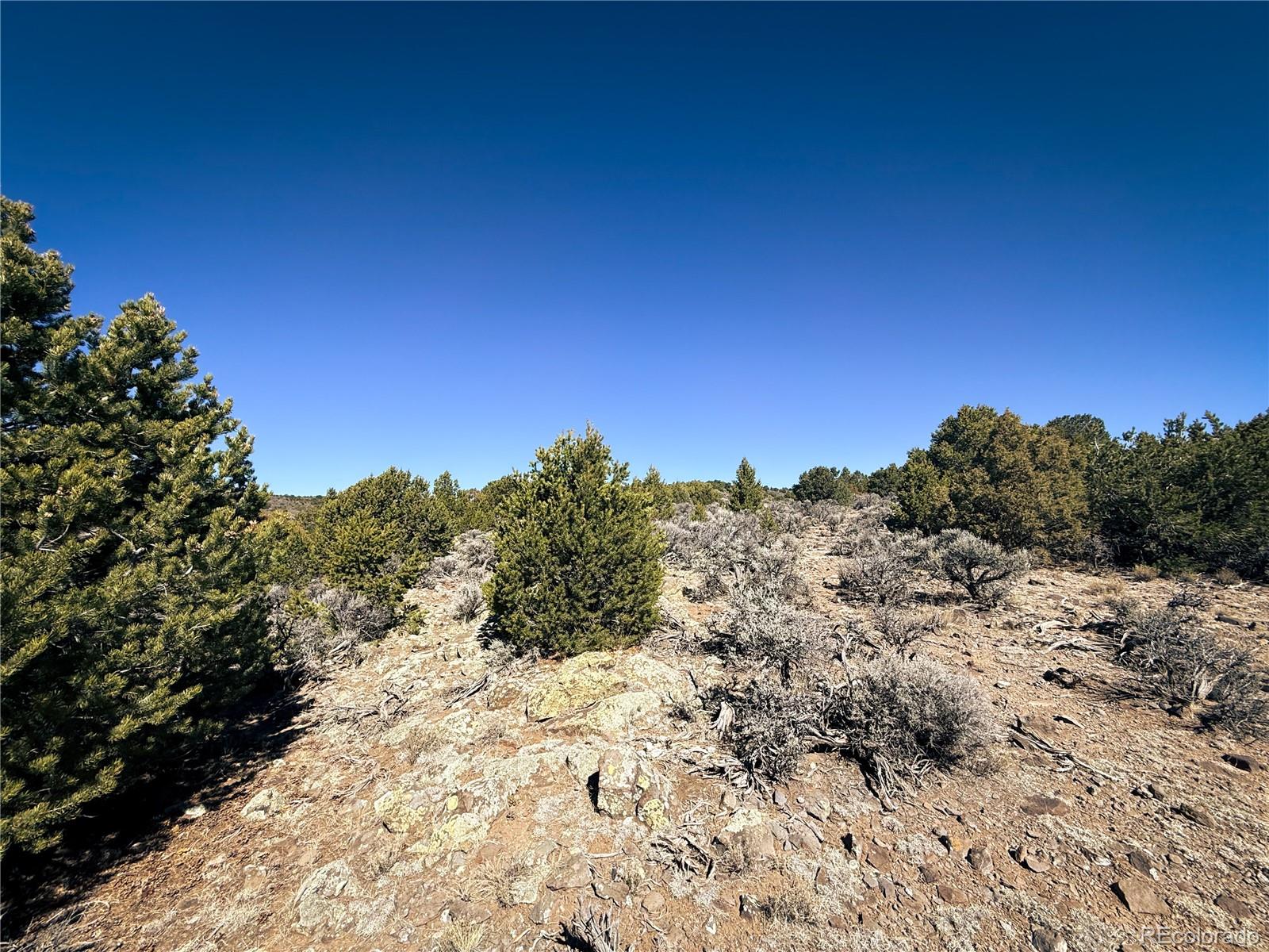 0 Sanchez Reservoir Road San Luis, CO 81152 - Photo 16 of 22 a view of a dry yard with trees in the background