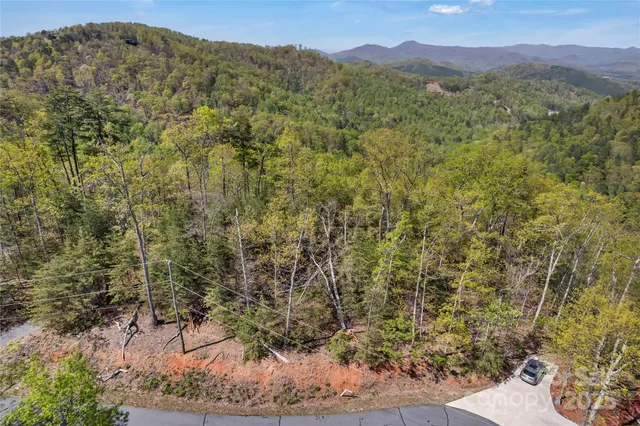 a view of a mountain range with trees in the background