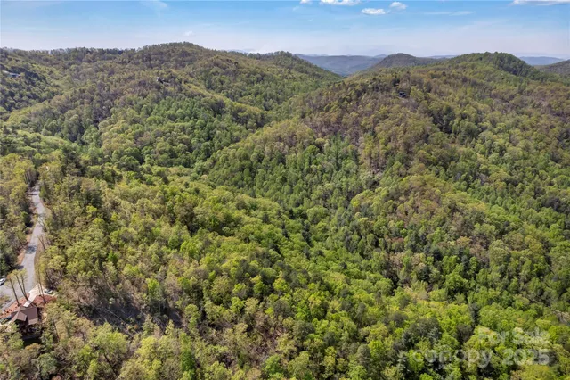 a view of a mountain range with lush green forest