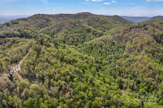 a view of a mountain range with trees in the background