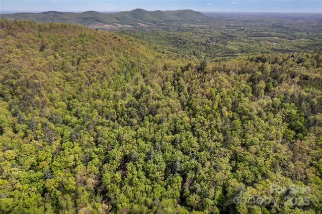 a view of a lush green field with mountains in the background