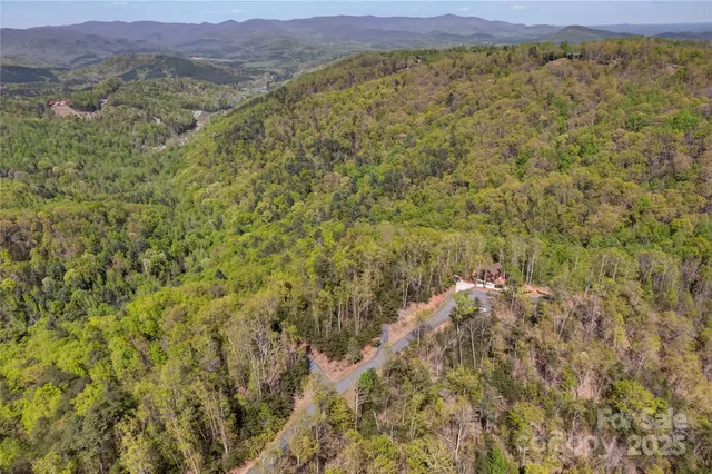 a view of a lush green field with mountains in the background