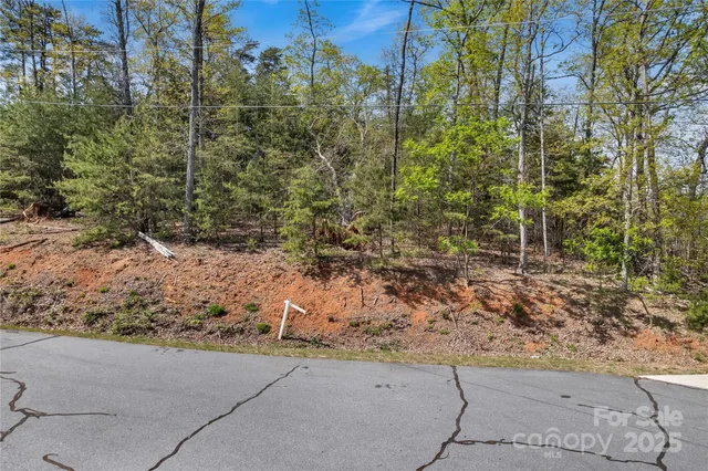a view of a yard with plants and trees