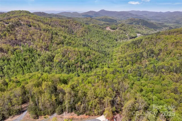 a view of a forest with a mountain
