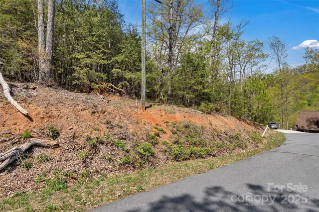 a view of a yard with large trees