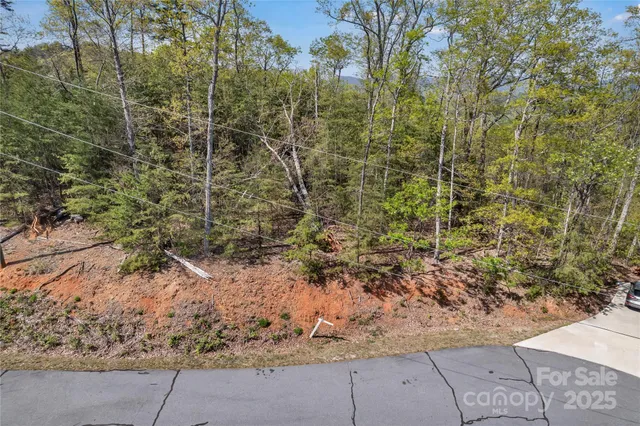 a view of a yard with plants and trees