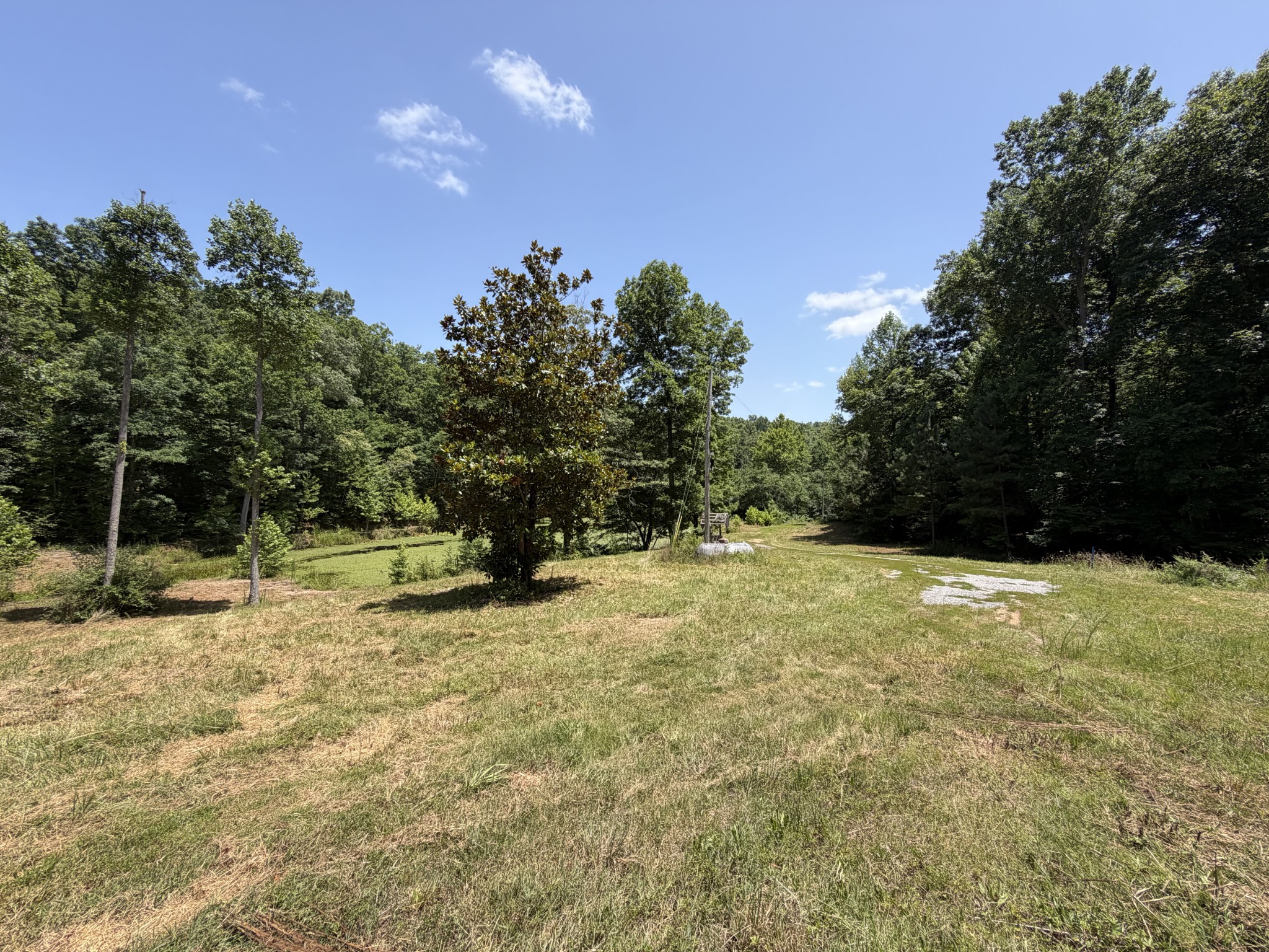 215 Bar Bee Road Hohenwald, TN 38462 - Photo 8 of 51