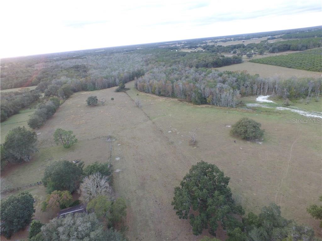 31265 St Joe Road Dade City, FL 33525 - Photo 1 of 1 Gallery Image 1