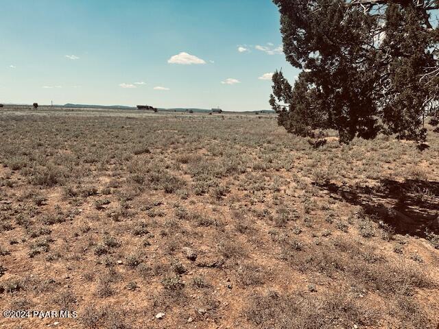 28581 West Hondo Road Seligman, AZ 86337 - Photo 2 of 6 a view of a dry yard with trees