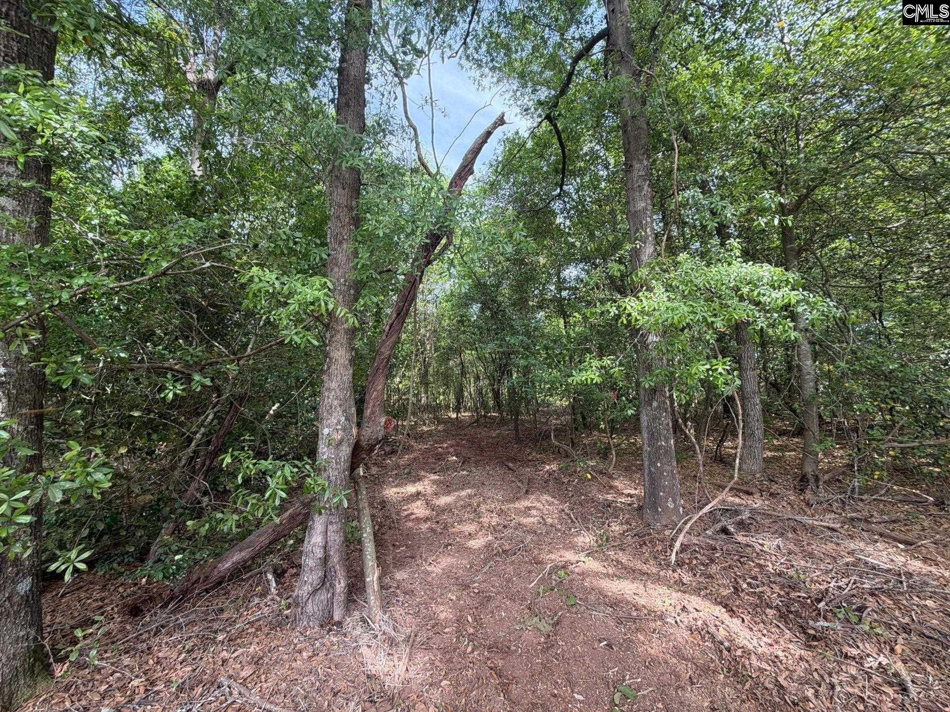 2 Rogers Cemetery Road Aiken, SC 29801 - Photo 10 of 26
