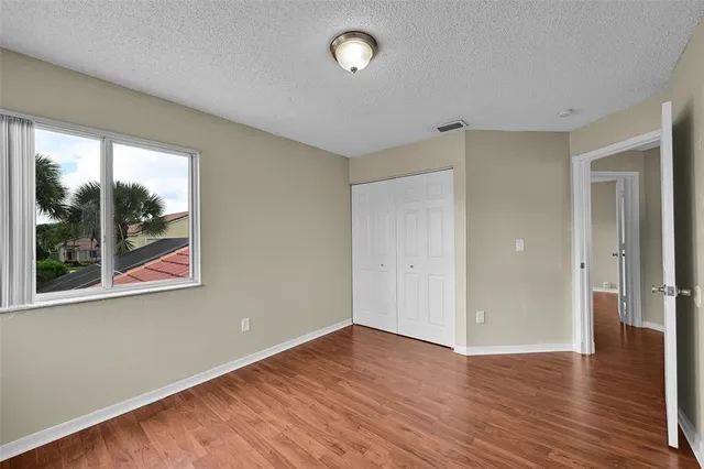 a view of a backyard with plants and palm trees