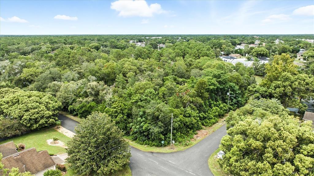 Linden Dr Spring Hill Spring Hill, FL 34608 - Photo 5 of 20