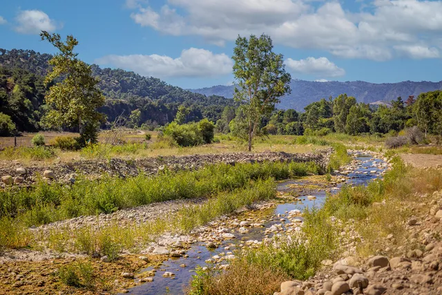 a view of a lake with a yard